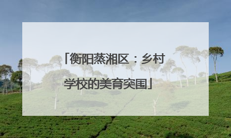 衡阳蒸湘区：乡村学校的美育突围