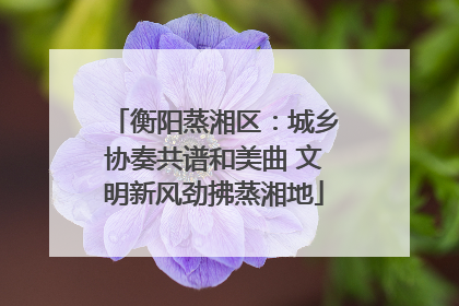 衡阳蒸湘区：城乡协奏共谱和美曲 文明新风劲拂蒸湘地