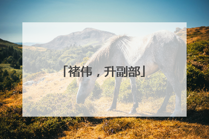 褚伟，升副部