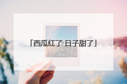 西瓜红了 日子甜了