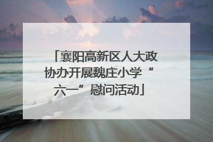 襄阳高新区人大政协办开展魏庄小学“六一”慰问活动