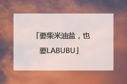 要柴米油盐，也要LABUBU