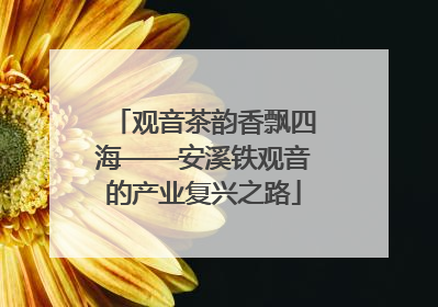 观音茶韵香飘四海——安溪铁观音的产业复兴之路