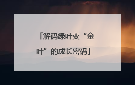 解码绿叶变“金叶”的成长密码