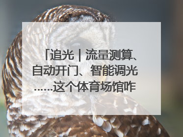 追光｜流量测算、自动开门、智能调光……这个体育场馆咋这么先进？