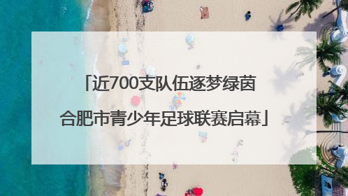 近700支队伍逐梦绿茵 合肥市青少年足球联赛启幕