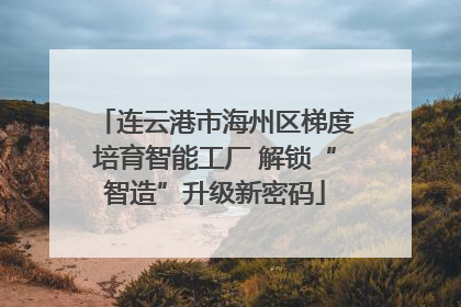 连云港市海州区梯度培育智能工厂 解锁“智造”升级新密码