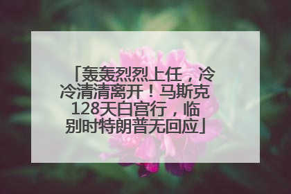 轰轰烈烈上任，冷冷清清离开！马斯克128天白宫行，临别时特朗普无回应