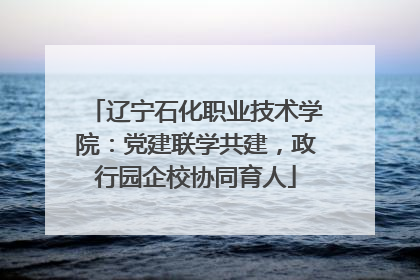 辽宁石化职业技术学院：党建联学共建，政行园企校协同育人