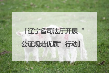 辽宁省司法厅开展“公证规范优质”行动