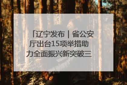 辽宁发布｜省公安厅出台15项举措助力全面振兴新突破三年行动决胜之战