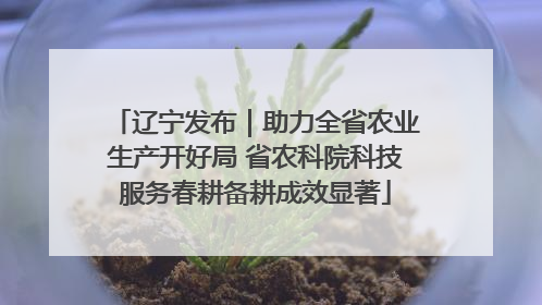 辽宁发布｜助力全省农业生产开好局 省农科院科技服务春耕备耕成效显著