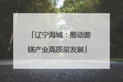 辽宁海城：推动菱镁产业高质量发展