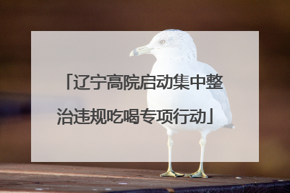 辽宁高院启动集中整治违规吃喝专项行动
