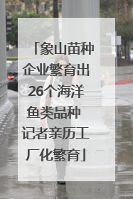 象山苗种企业繁育出26个海洋鱼类品种 记者亲历工厂化繁育
