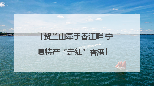贺兰山牵手香江畔 宁夏特产“走红”香港
