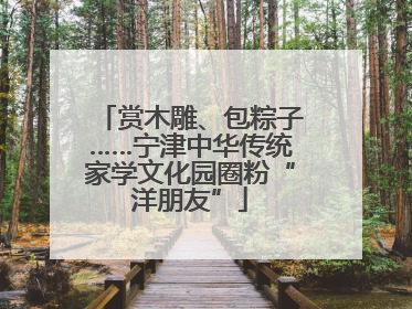 赏木雕、包粽子……宁津中华传统家学文化园圈粉“洋朋友”