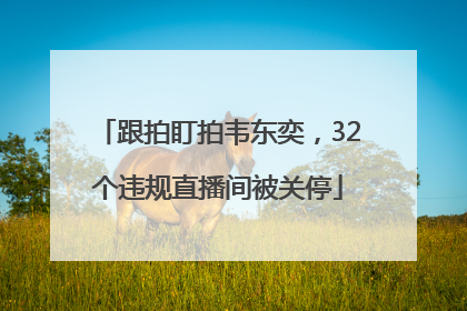跟拍盯拍韦东奕，32个违规直播间被关停