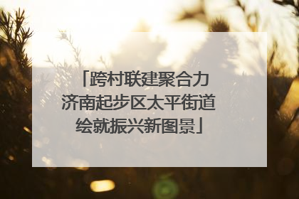 跨村联建聚合力 济南起步区太平街道绘就振兴新图景