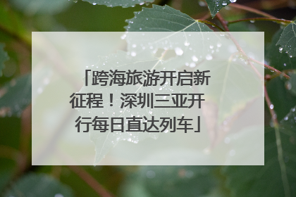跨海旅游开启新征程！深圳三亚开行每日直达列车