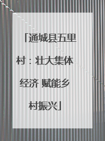 通城县五里村：壮大集体经济 赋能乡村振兴