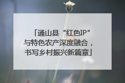 通山县“红色IP”与特色农产深度融合，书写乡村振兴新篇章
