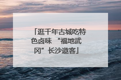 逛千年古城吃特色卤味 “福地武冈”长沙邀客