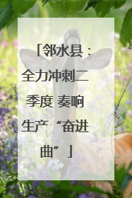 邻水县：全力冲刺二季度 奏响生产“奋进曲”