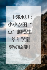 邻水县：小小农田“豆”趣横生 莘莘学童劳动添能