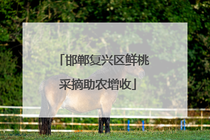 邯郸复兴区鲜桃采摘助农增收