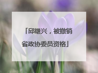邱继兴，被撤销省政协委员资格