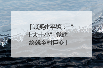郎溪建平镇：“十大十小”党建 绘就乡村巨变