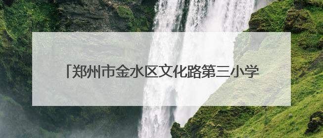 郑州市金水区文化路第三小学：在这里看到拳不离手的风景
