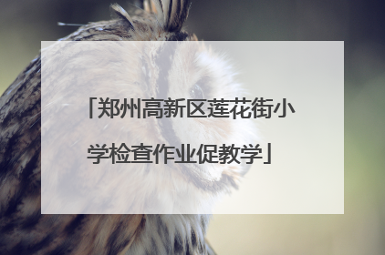 郑州高新区莲花街小学检查作业促教学