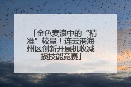 金色麦浪中的“精准”较量！连云港海州区创新开展机收减损技能竞赛