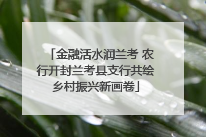 金融活水润兰考 农行开封兰考县支行共绘乡村振兴新画卷