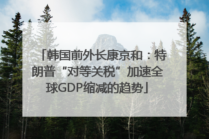 韩国前外长康京和：特朗普“对等关税”加速全球GDP缩减的趋势