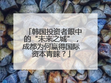 韩国投资者眼中的“未来之城”，成都为何赢得国际资本青睐？