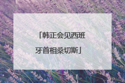 韩正会见西班牙首相桑切斯
