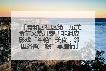 青和居社区第二届美食节火热开锣！非遗皮影戏“斗艳”美食，邻里齐聚“粽”享温情