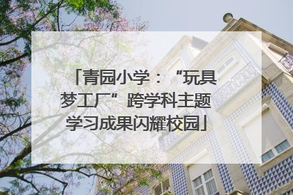 青园小学：“玩具梦工厂”跨学科主题学习成果闪耀校园