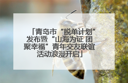青岛市“脱单计划”发布暨“山海为证 团聚幸福”青年交友联谊活动浪漫开启