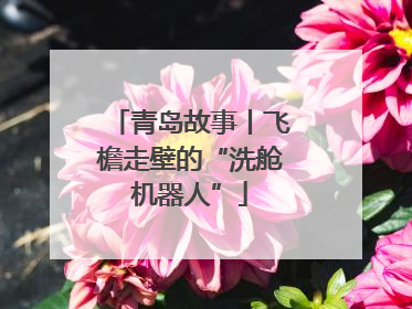 青岛故事丨飞檐走壁的“洗舱机器人”