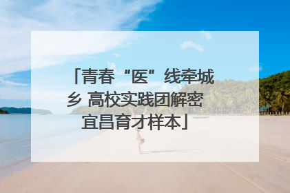 青春“医”线牵城乡 高校实践团解密宜昌育才样本