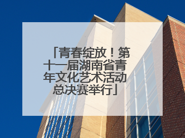 青春绽放！第十一届湖南省青年文化艺术活动总决赛举行