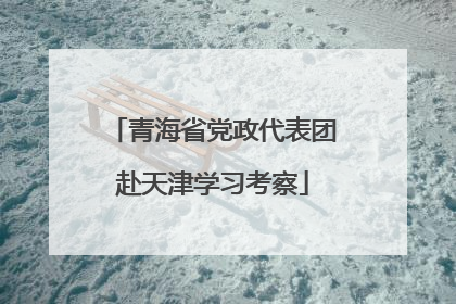 青海省党政代表团赴天津学习考察