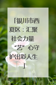 银川市西夏区：汇聚社会力量 “艺”心守护出彩人生