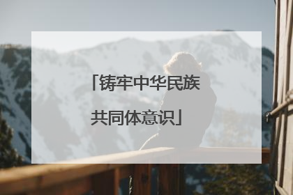 铸牢中华民族共同体意识