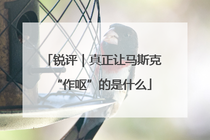 锐评｜真正让马斯克“作呕”的是什么