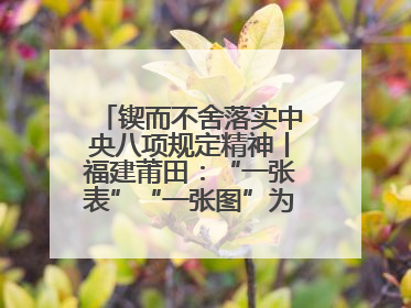锲而不舍落实中央八项规定精神丨福建莆田：“一张表”“一张图”为基层减轻“数字负担”